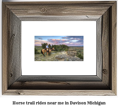 horse trail rides near me in Davison, Michigan